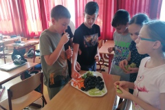 IMG_20230927_094253