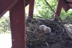 669010199_1284257983762083_2396831410339048052_n