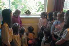 682759717_2014091885850955_2309701971408882223_n