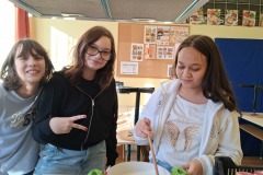 1000010678