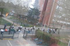 Messenger_creation_42EB210D-1F78-4EFD-8D88-F9346DBAB823