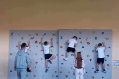 12-da3905f6-4036-48a4-9039-cbc0452d138d