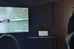 1000016231
