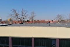 IMG_20260309_093202