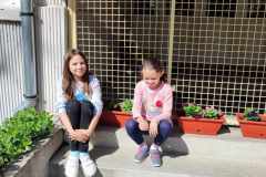 Messenger_creation_2041ceb9-c694-4fe8-888f-9ad034829ec4