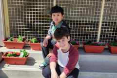 Messenger_creation_7fc3e72e-a948-4027-bcd7-a202ccad5630